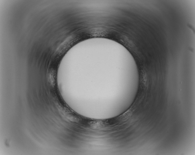 X0000100770074200807101802