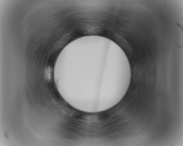 X0000100770075200807101802
