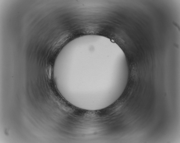 X0000100770076200807101802