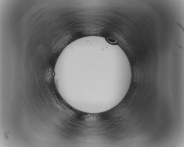 X0000100770077200807101802