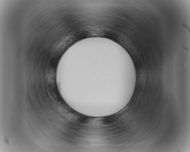 X0000100770078200807101802