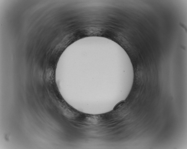 X0000100770079200807101802