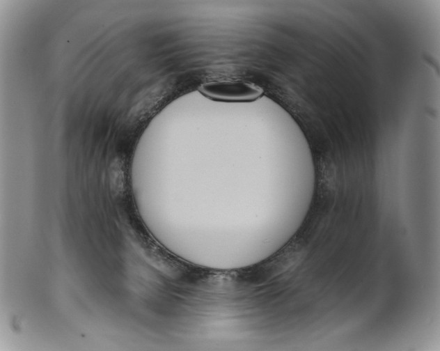 X0000100770080200807101802