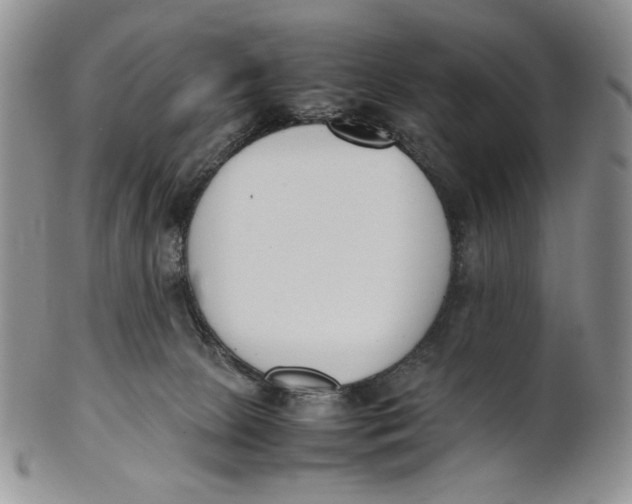 X0000100770081200807101802