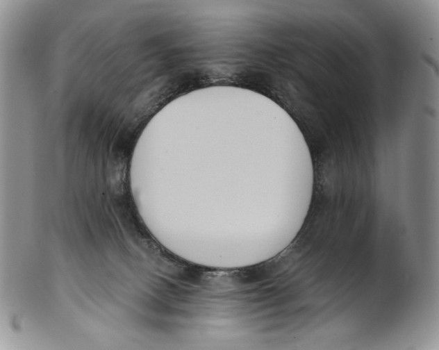 X0000100770082200807101802