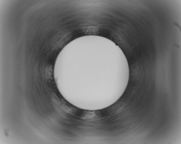 X0000100770083200807101802