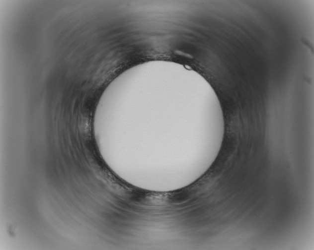 X0000100770084200807101802