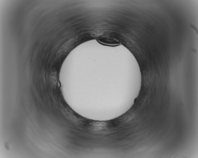 X0000100770085200807101802