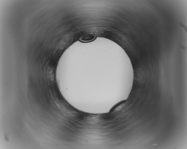 X0000100770086200807101802