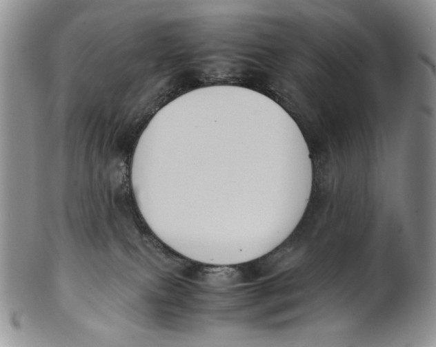 X0000100770087200807101802