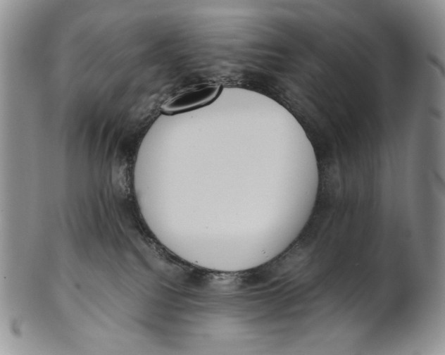 X0000100770088200807101802