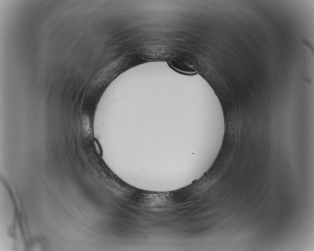 X0000100770089200807101802