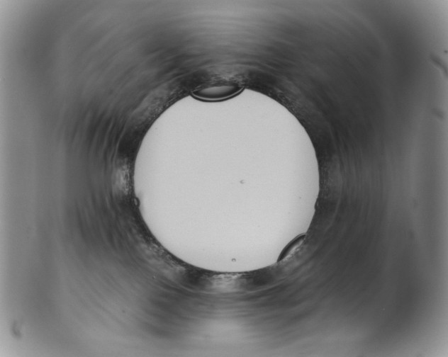 X0000100770090200807101802