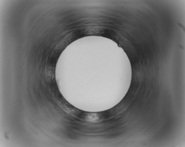 X0000100770091200807101802