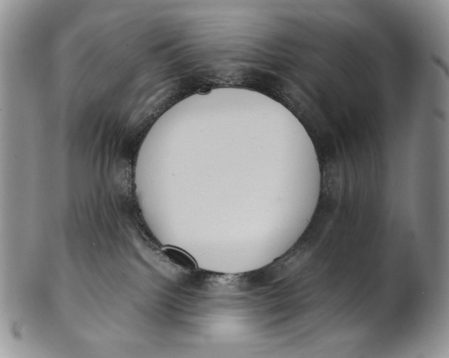X0000100770092200807101802