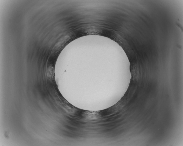 X0000100770093200807101802