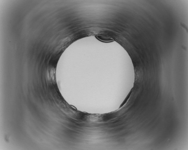 X0000100770094200807101802