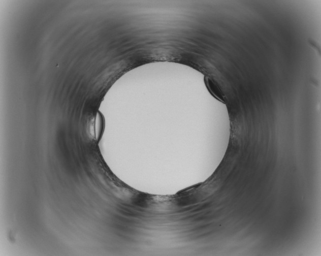 X0000100770095200807101802