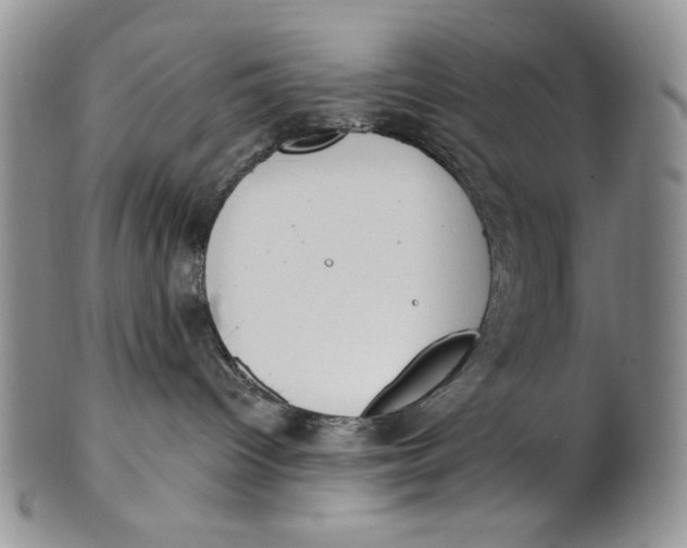 X0000100770096200807101802