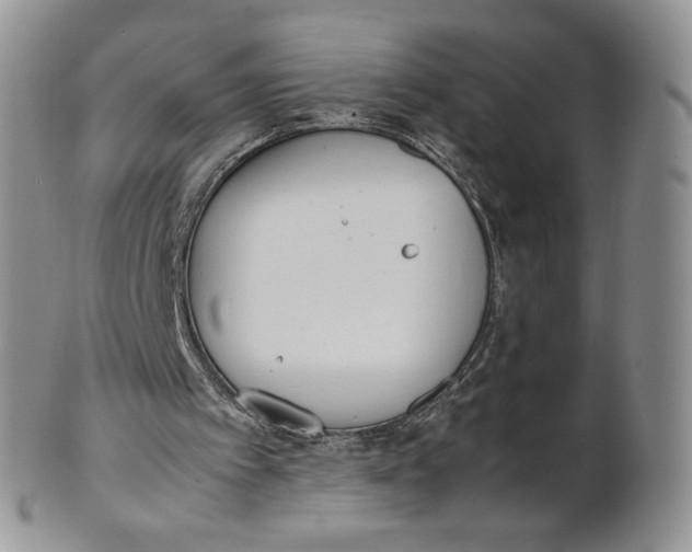 X0000100770097200807101801