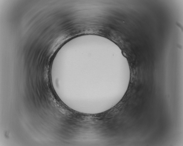 X0000100770098200807101801