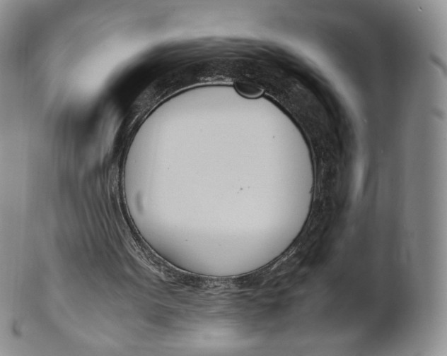 X0000100770099200807101801