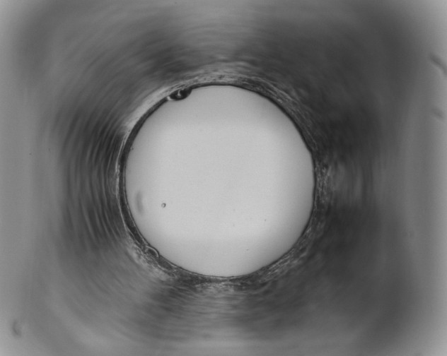 X0000100770100200807101801