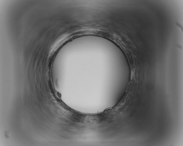 X0000100770101200807101801