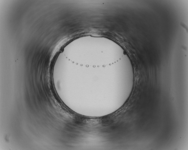 X0000100770102200807101801