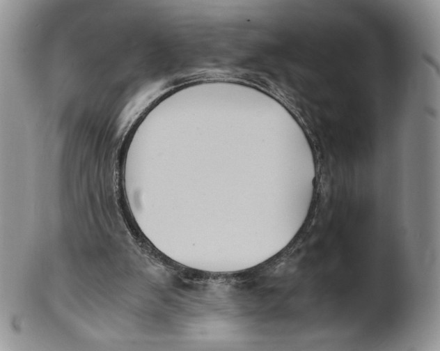 X0000100770103200807101801
