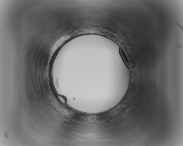 X0000100770104200807101801