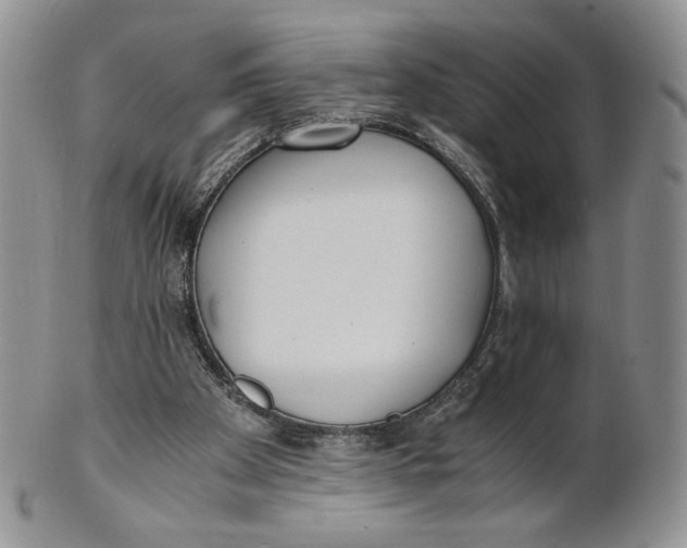 X0000100770105200807101801