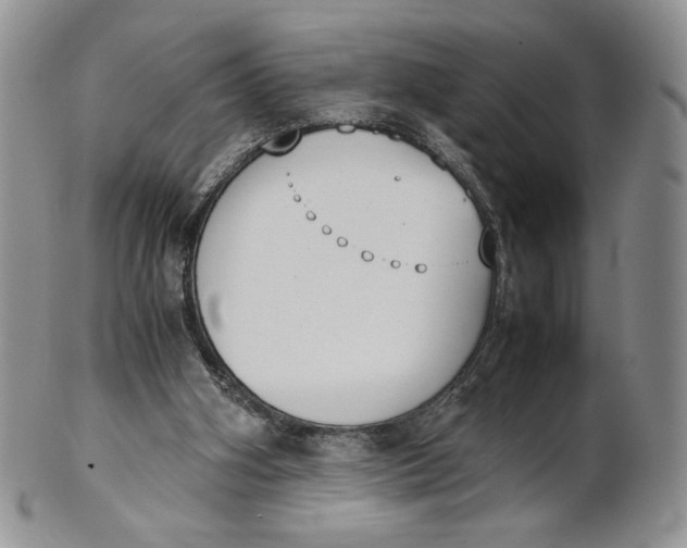 X0000100770106200807101801