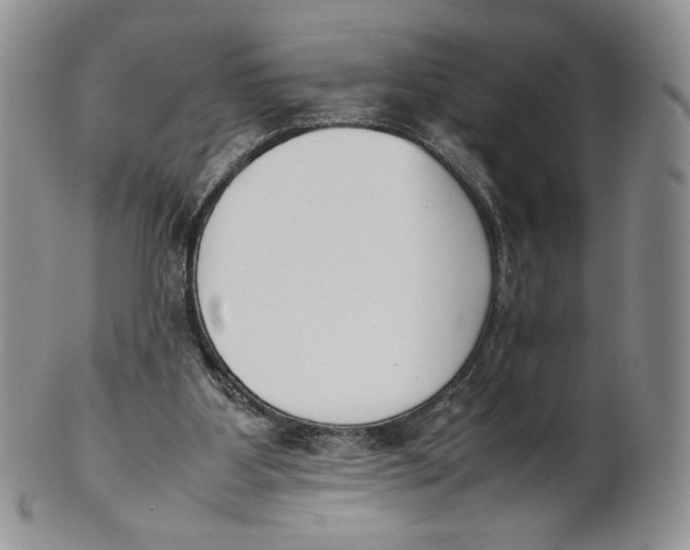 X0000100770107200807101801