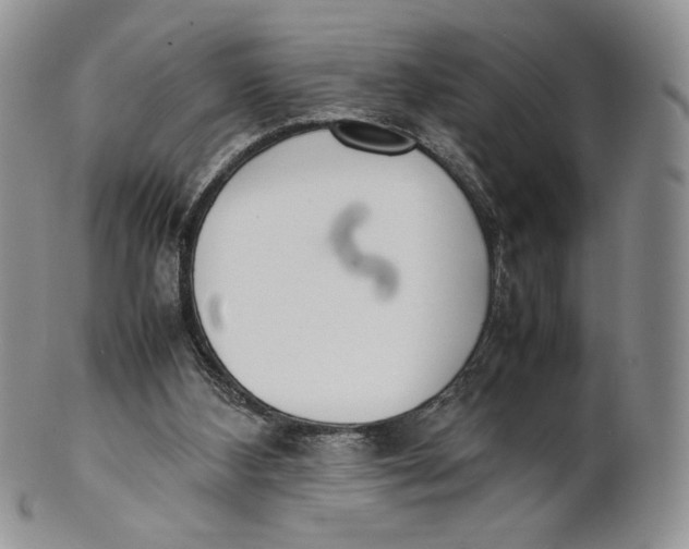 X0000100770108200807101801
