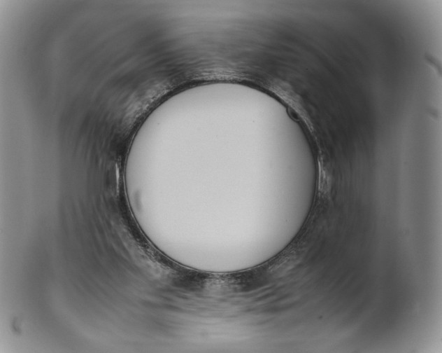 X0000100770109200807101801