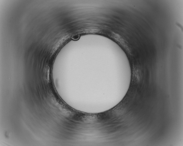 X0000100770110200807101801
