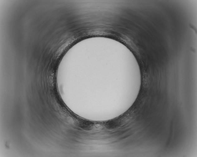 X0000100770111200807101801