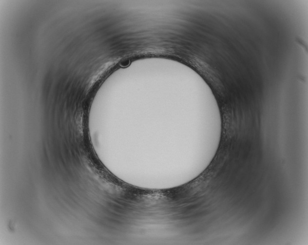 X0000100770112200807101801