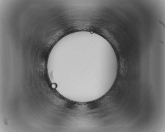 X0000100770113200807101801