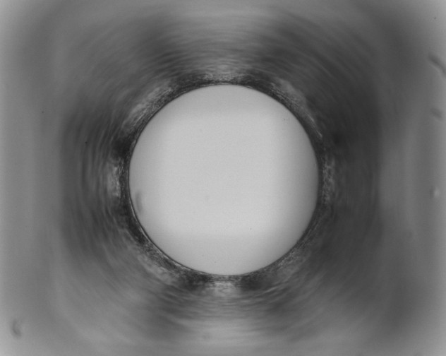 X0000100770114200807101801