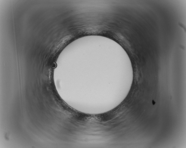 X0000100770115200807101801
