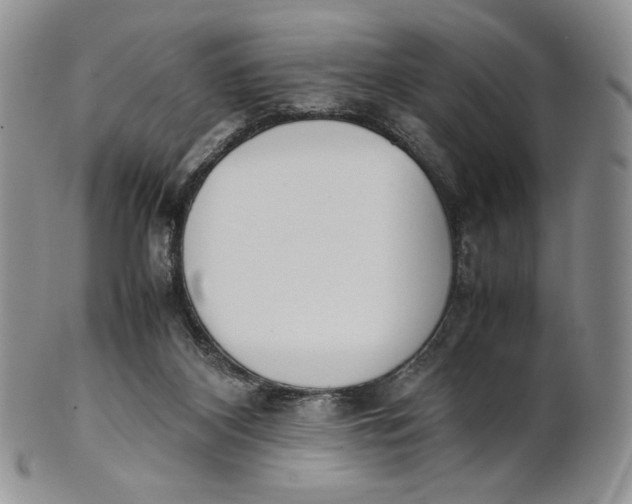 X0000100770116200807101801