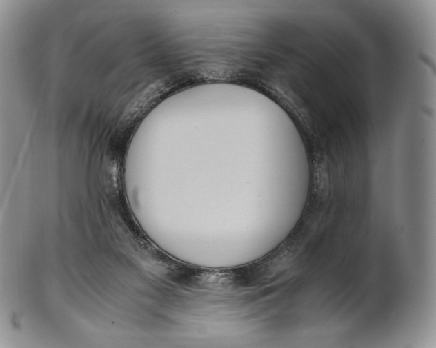 X0000100770117200807101801