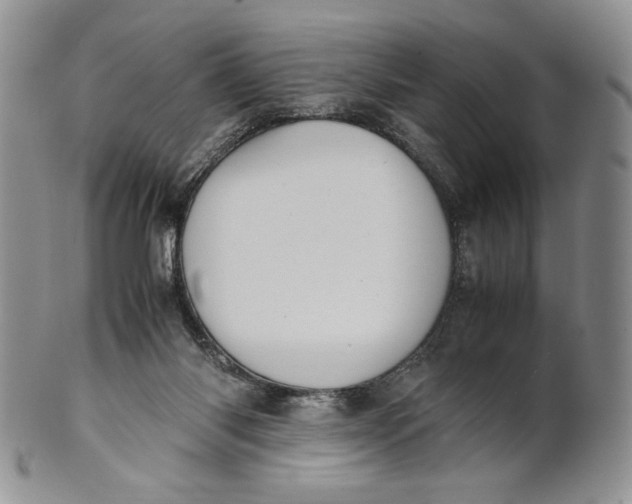 X0000100770118200807101801