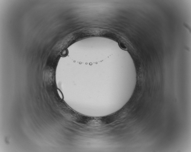 X0000100770119200807101801