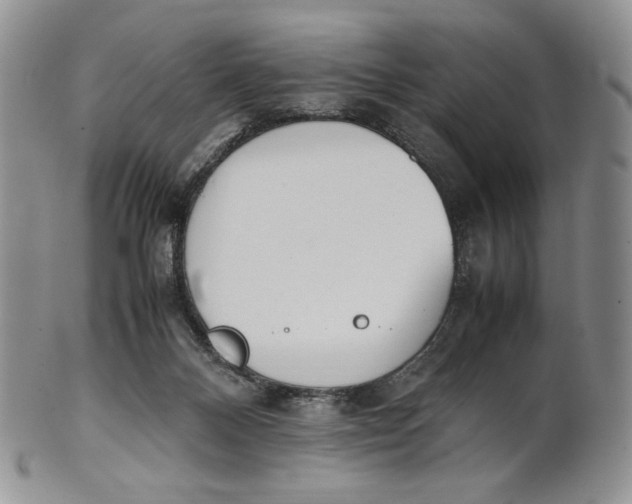 X0000100770120200807101801
