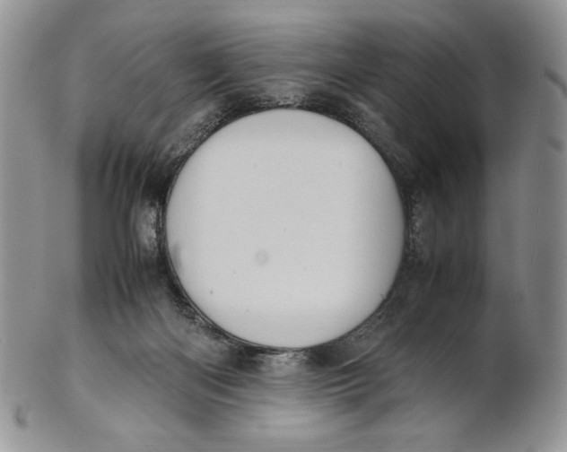 X0000100770122200807101801