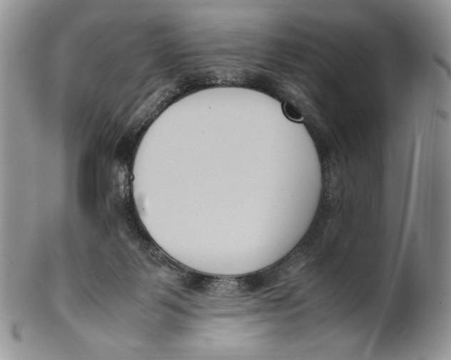 X0000100770123200807101801