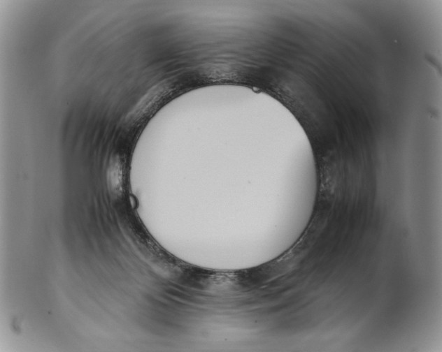 X0000100770124200807101801